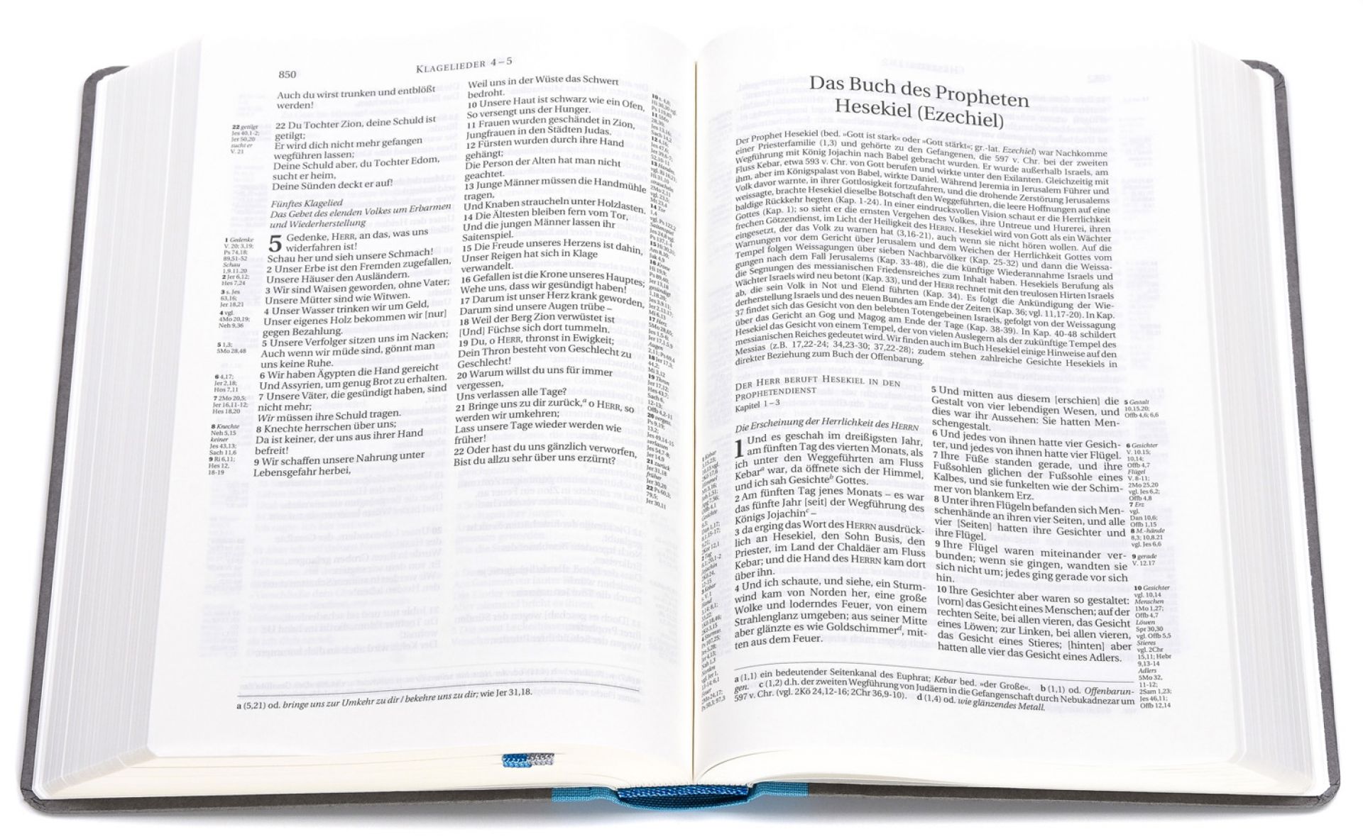 Schlachter 2000 TA + P PU-Einband hellblau/grau Schlachter 2000 TA + P PU-Einband hellblau/grau