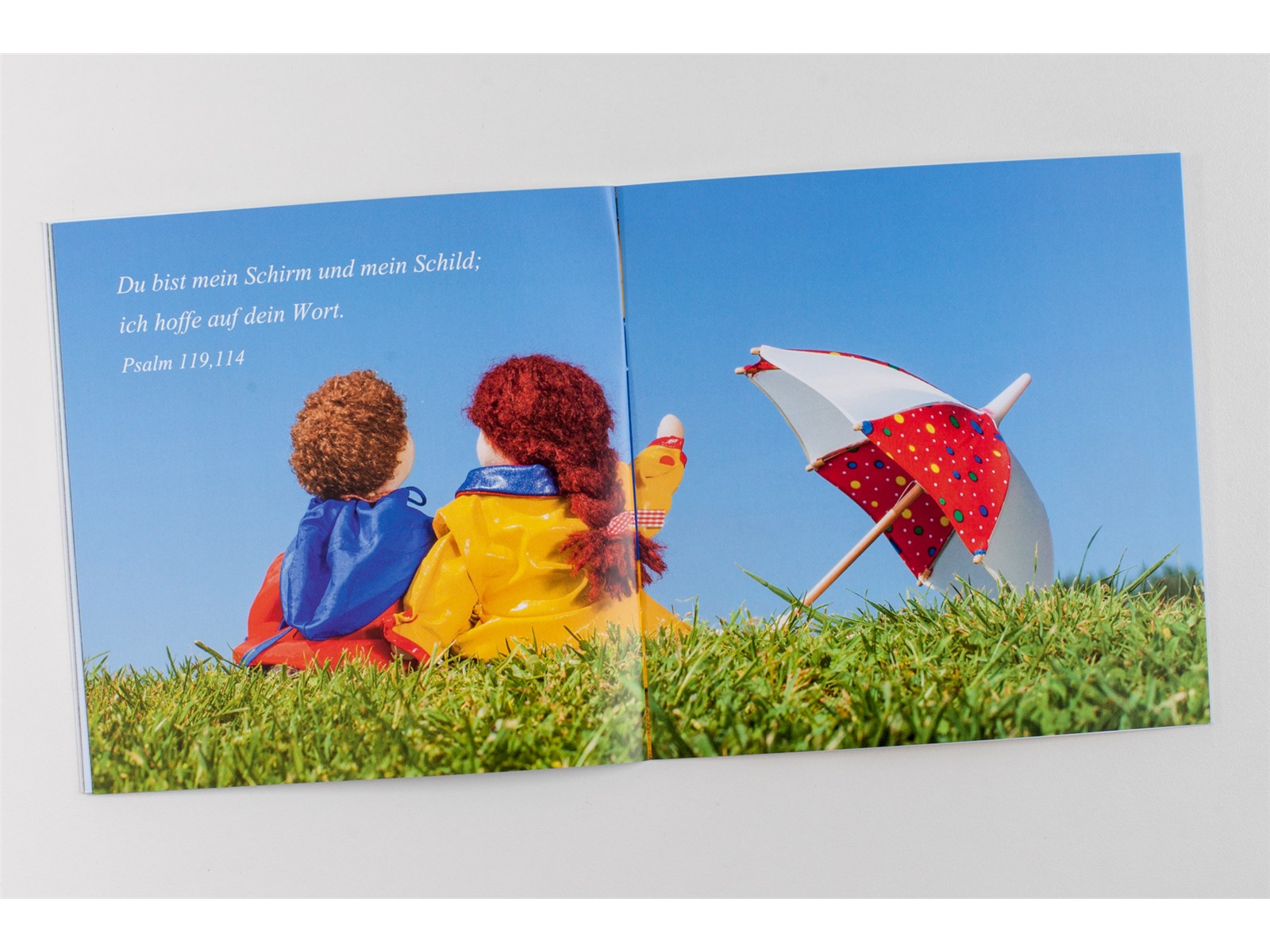 Seht mal meinen Regenschirm (MIDI-Buch) Seht mal meinen Regenschirm (MIDI-Buch)