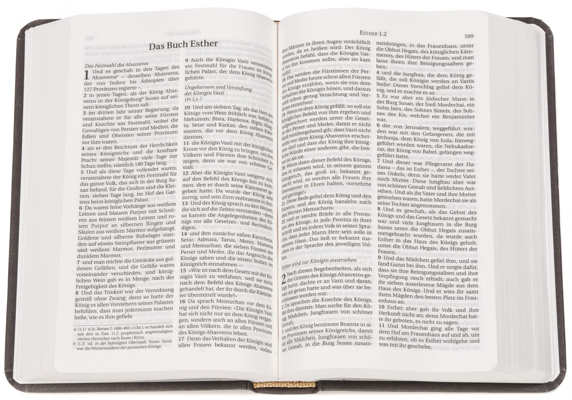 Schlachter 2000 – Miniaturausgabe (illustrierter fester Einband – Antikleder-Optik)