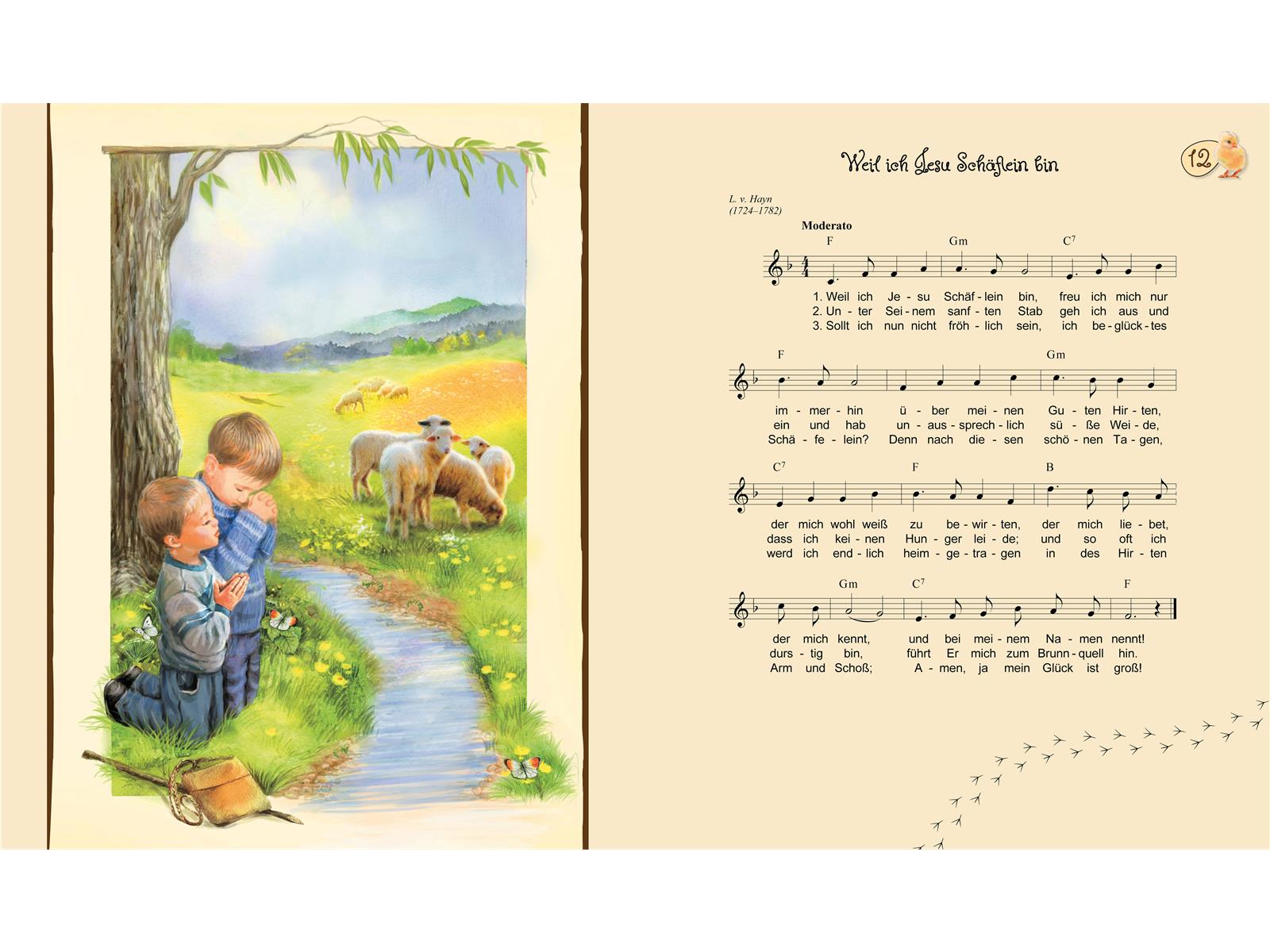 Pappbuch: Behütet Pappbuch: Behütet