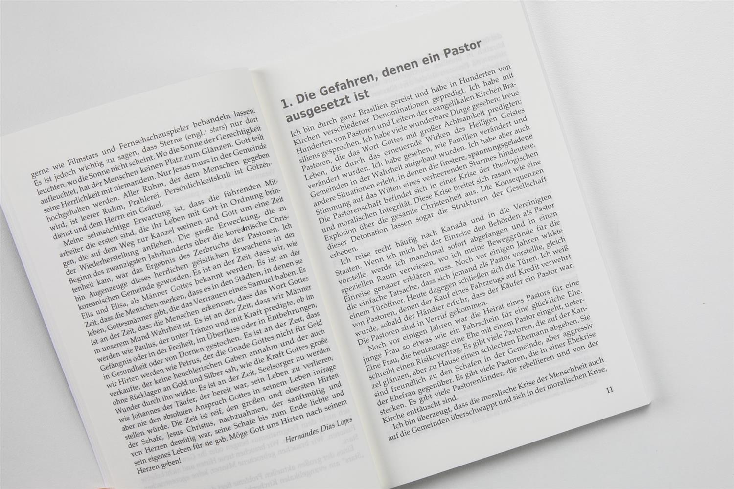 Der Anspruch des Hirtendienstes