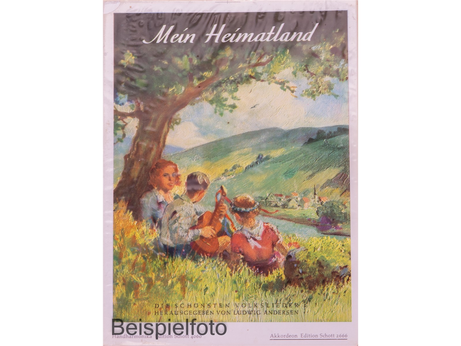 Mein Heimatland, Akkordeon, Taschenausgabe - Antiquariat