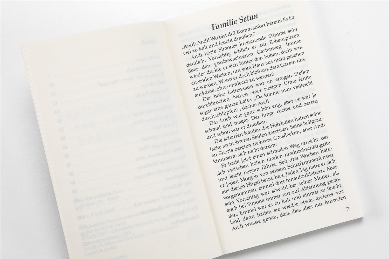 Die unglaubliche Geschichte des Herrn Niemand