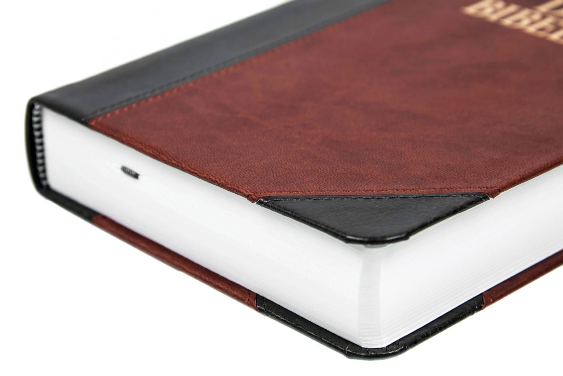 Schlachter 2000 - TA (Softcover, grau/braun)