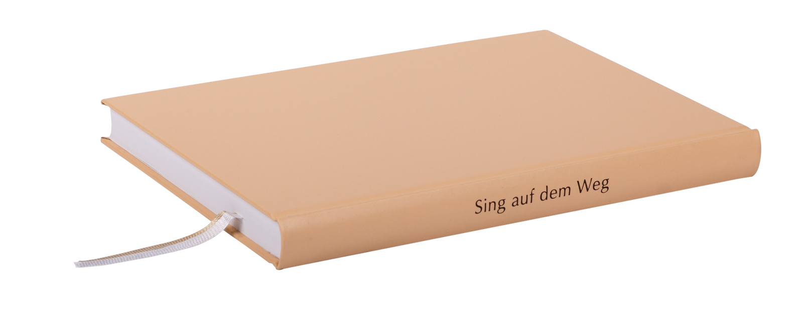 Sing auf dem Weg - Liederbuch Sing auf dem Weg - Liederbuch