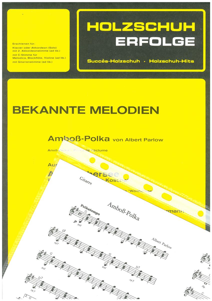 Holzschuh Erfolge 20 - Stimmenauszug Gitarre - Antiquariat