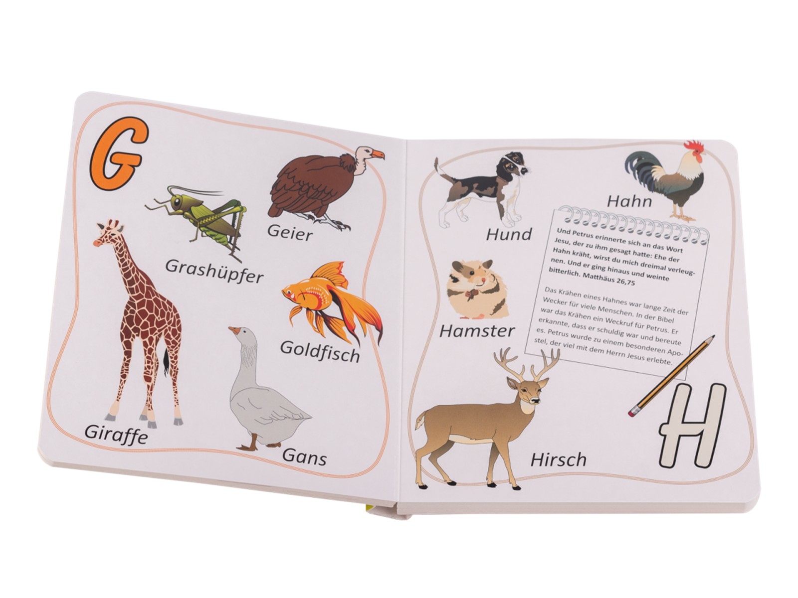 ABC-Lerne von Gottes Tierreich