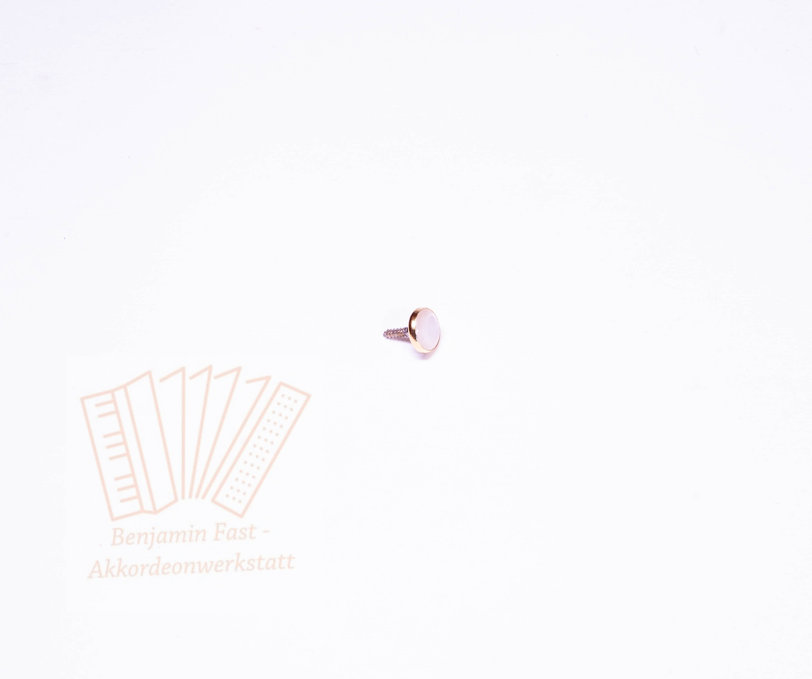 Bassknopf weiß/gold 9,6mm glatt Gewinde