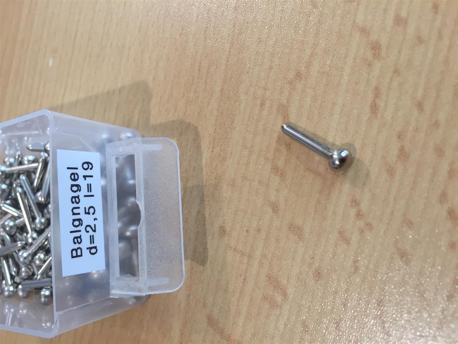 Balgnagel Kugelkopf 2,5x19 mm - verchromt