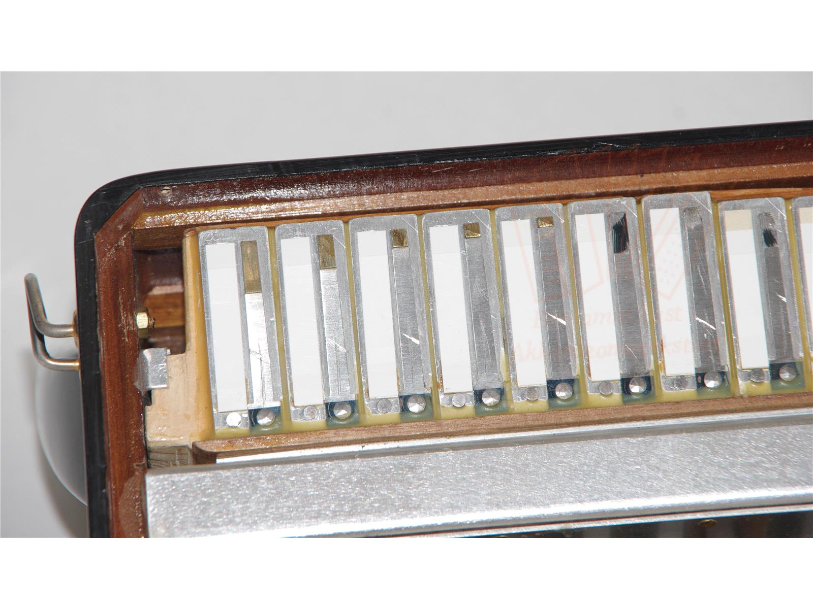 Akkordeon Hohner Golina II 41/120/V/12/7, gebraucht