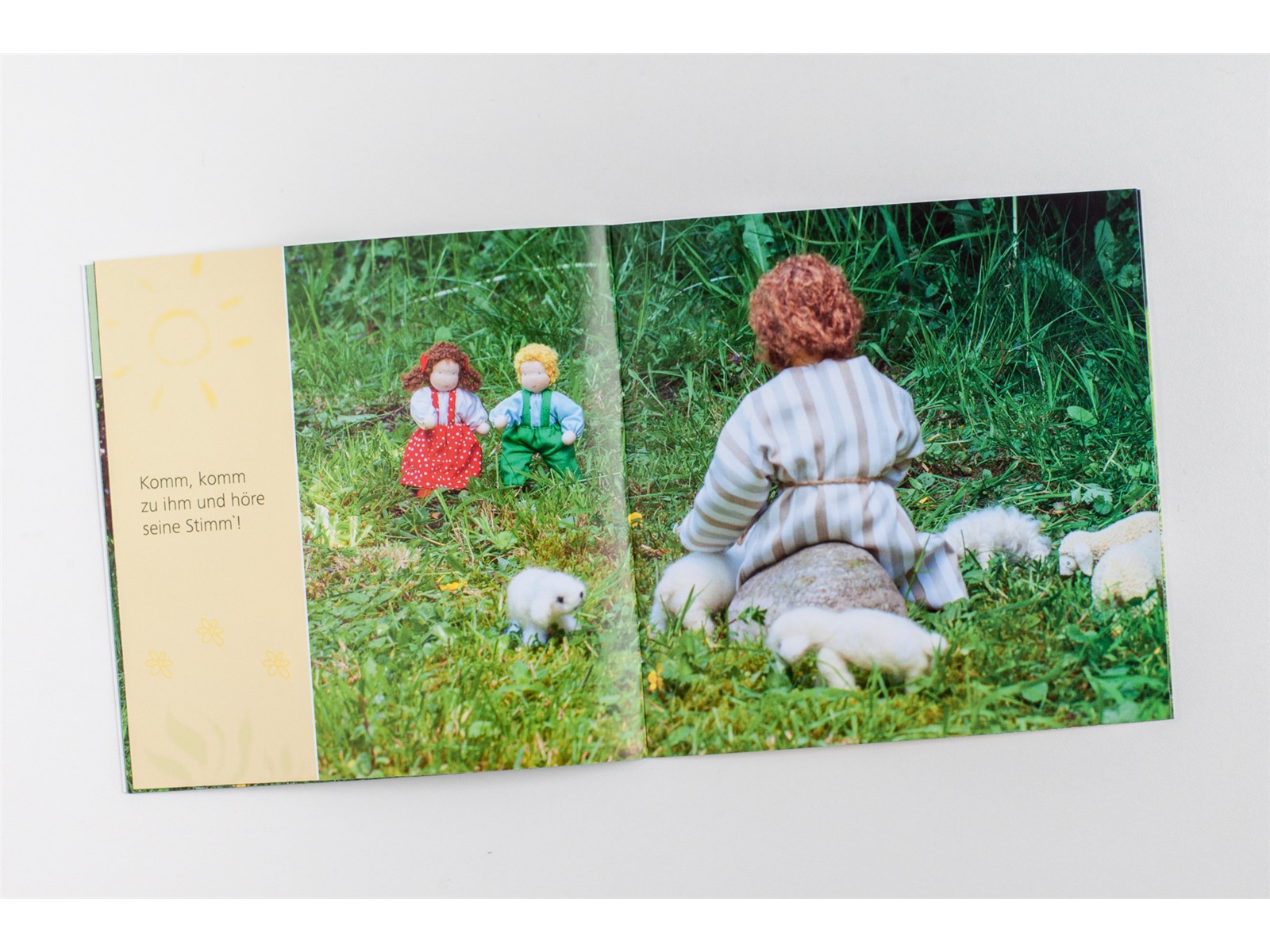 Ein kleines wildes Schäflein (MIDI-Buch) Ein kleines wildes Schäflein (MIDI-Buch)
