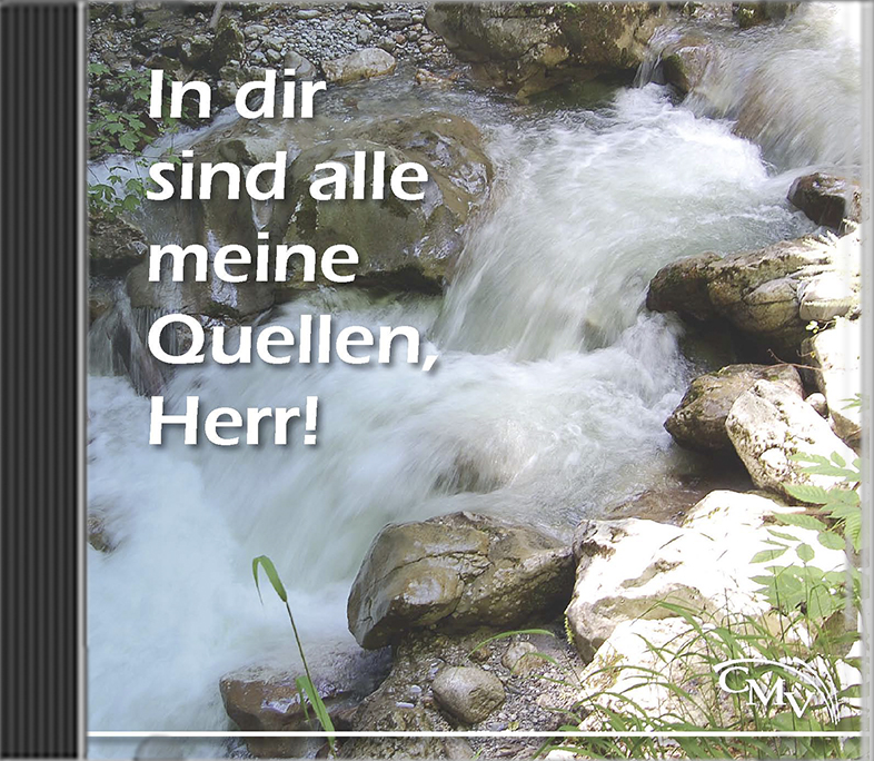 In dir sind alle meine Quellen, Herr