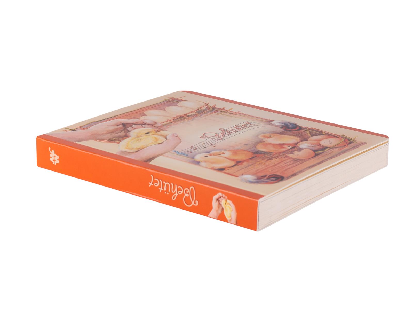 Pappbuch: Behütet Pappbuch: Behütet