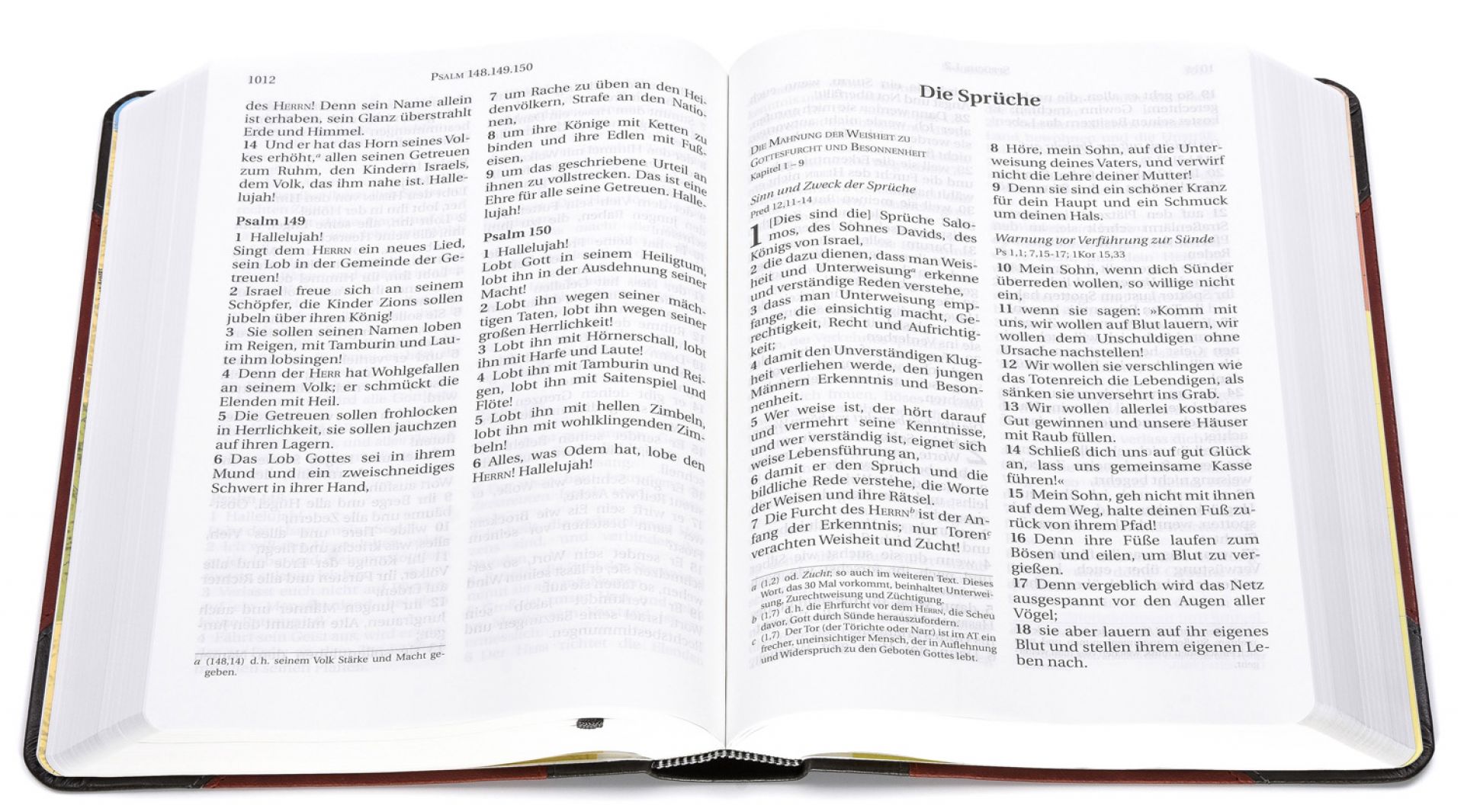 Schlachter 2000 - Großdruckausgabe (Softcover, grau/braun)