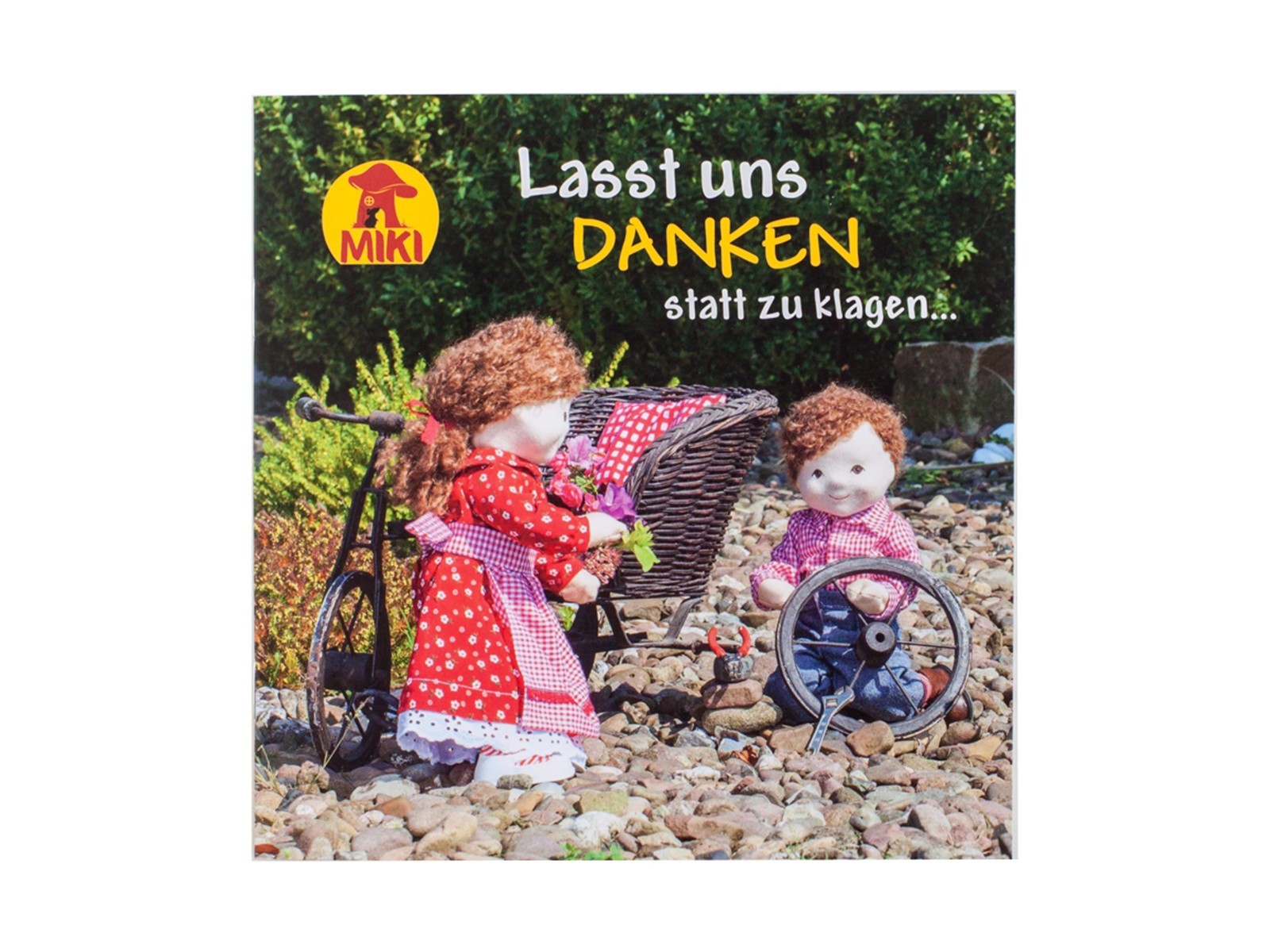 Buchpaket CMV-Midi-Bücher (alle 8 Titel)