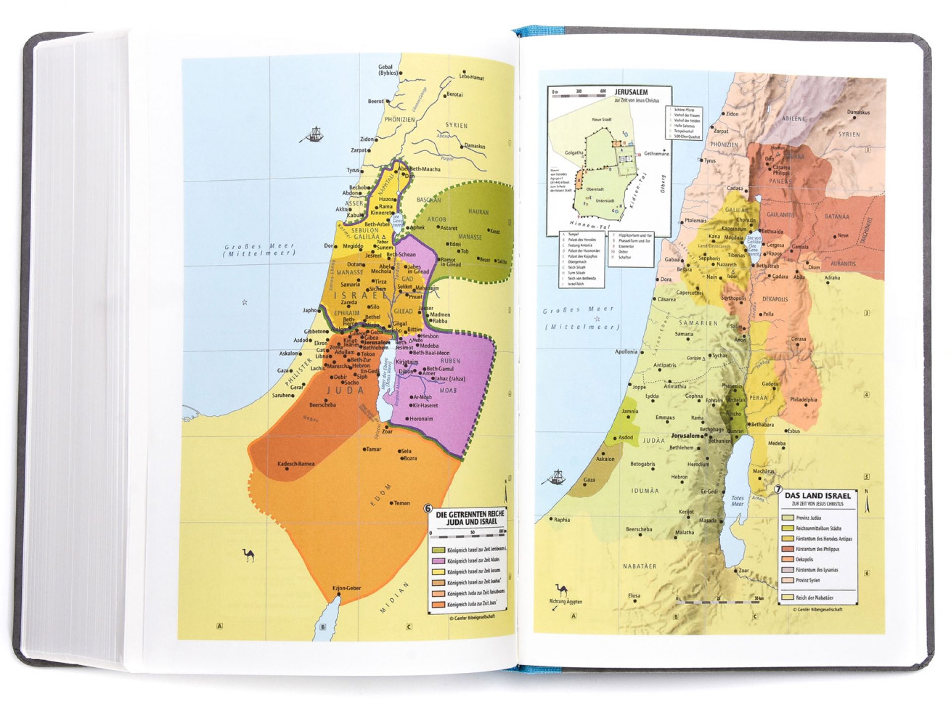 Schlachter 2000 TA + P PU-Einband hellblau/grau Schlachter 2000 TA + P PU-Einband hellblau/grau