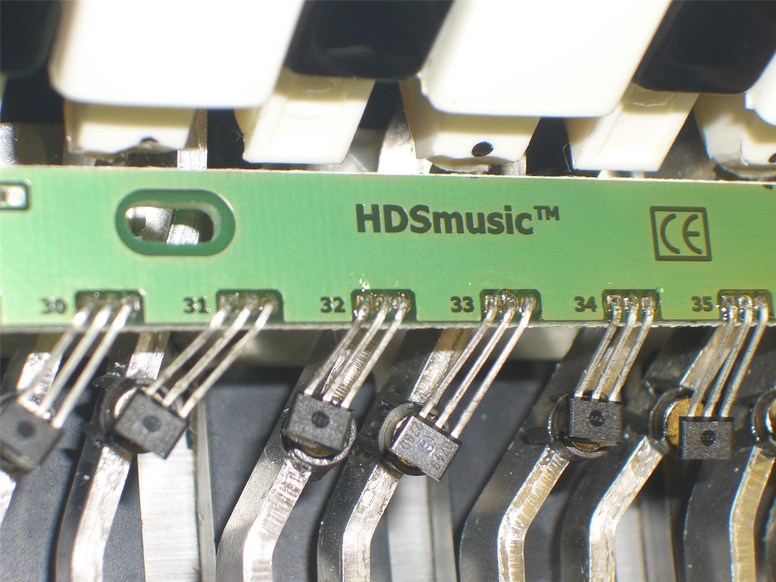 Voll-MIDI HDS Akkordeon
